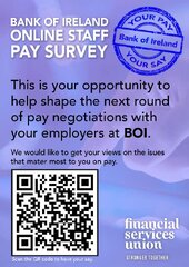 BOI_Survey_Poster_a4